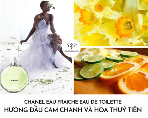 N C Hoa Chanel Xanh Ml Chance Eau Fraiche Edt Ch Nh H Ng