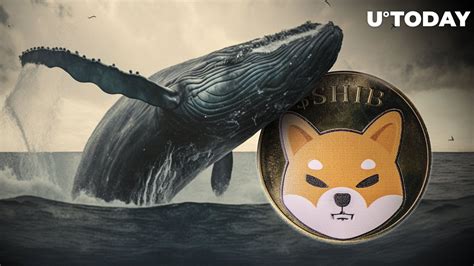 Trillions Of SHIB Move To Whale Wallets As Shiba Inu Aims Next Move