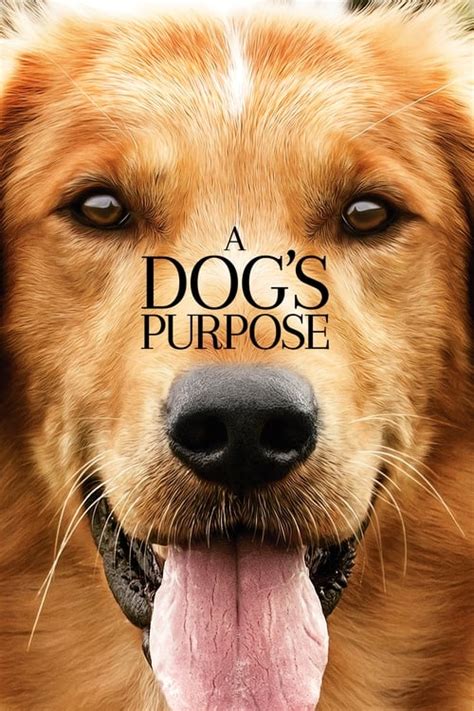 A Dog's Purpose (2017) — The Movie Database (TMDb)