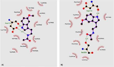 Two Dimensional Schematic Diagrams Of The Intermolecular Interactions