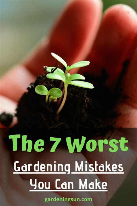 The 7 Worst Gardening Mistakes You Can Make Gardening Sun