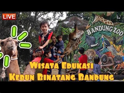 Wisata Edukasi Di Kebun Binatang Bandung Mengenal Satwa Liar Dan