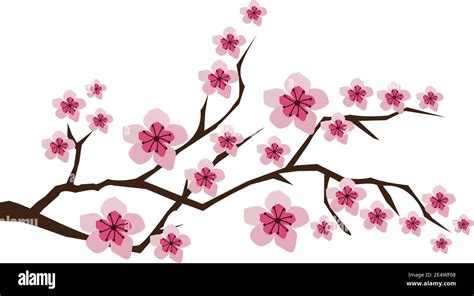 vector illustration of blossom branches with pink flowers, cherry ...