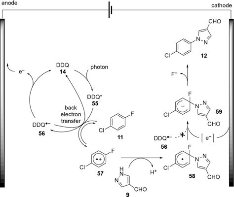 Figure From Electrophotocatalytic Snar Reactions Of Unactivated Aryl