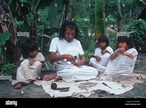 América del Norte México Chiapas Naha Selva Lacandona Pepe Vasquez