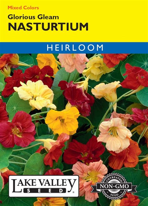 Nasturtium Glorious Gleam Mixed Colors Item 206 Lake Valley Seed