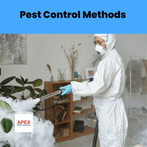 The Best 3 Methods Of Pest Control Apex Pest Control