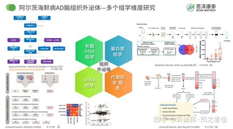 四篇10分脑组织外泌体多组学图谱研究思路解析 知乎