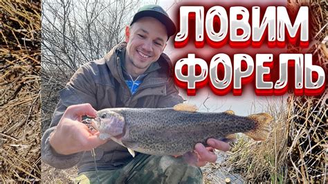 Форель на резину | Ловим форель на платнике - YouTube