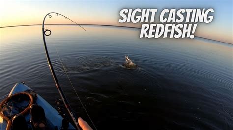 Sight Casting Redfish Youtube