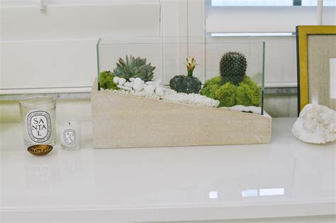 DIY Terrarium Photo 6 - Dash Of Panache