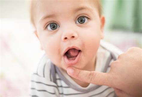 Penyebab Bibir Bayi Kering Beserta Cara Mengatasinya Mamapedia Mooimom