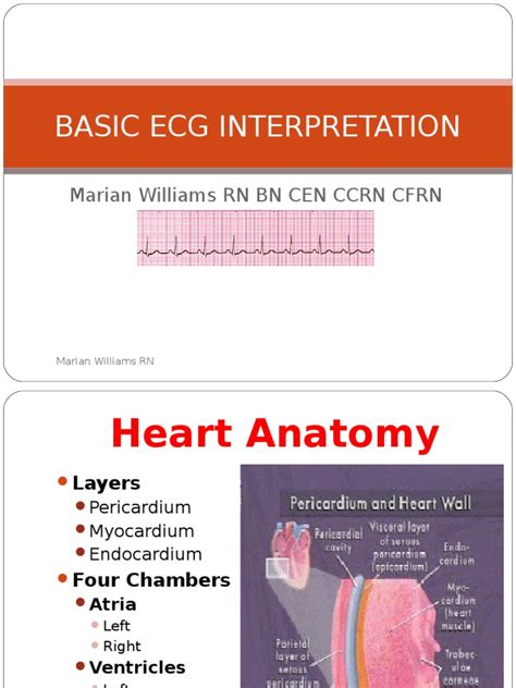 Basic Ecg Interpretation Mw Ppt Heart Electrocardiography