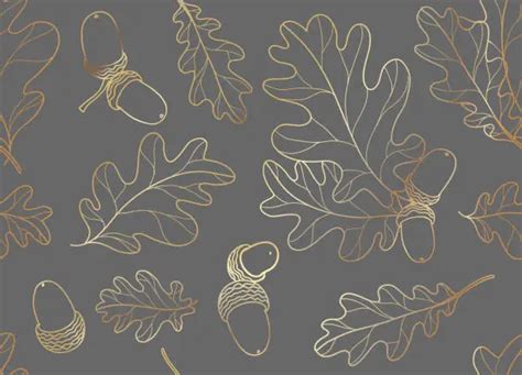 Free Oak Leaves Clipart Images Freeimages