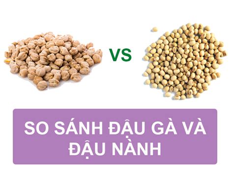 So Sánh Đậu Gà Và Đậu Nành Giống Và Khác Nhau Như Thế Nào Dananut