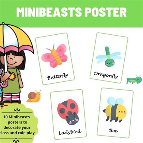 Minibeasts Posters Freebie Poster Classroom Posters Minibeasts