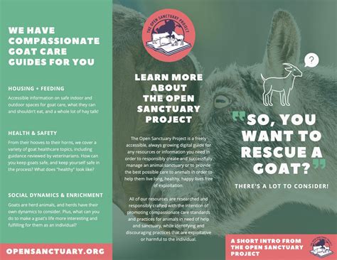 The Open Sanctuary Project S So You Want To Rescue A Goat Brochure