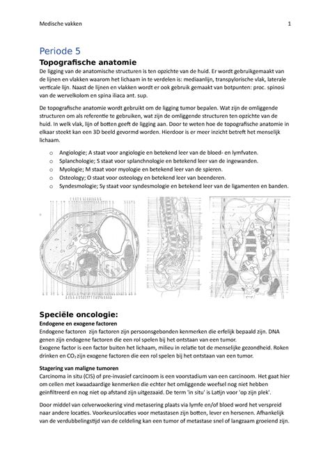 Medische Vakken Samenvatting P5 Periode 5 Topografische Anatomie De