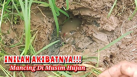 Beginilah Kalau Nekad Mancing Belut Di Musim Hujan Ini Yang Akan