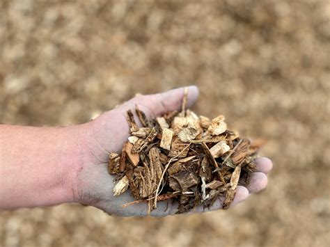 Wood Chips Edrich Lumber Inc