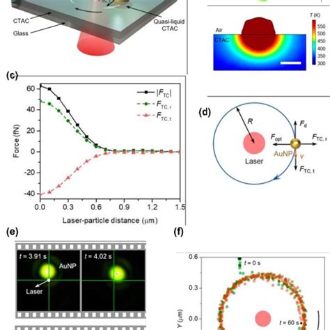 Opto Thermocapillary Rotation Technique A D Schematic Illustration