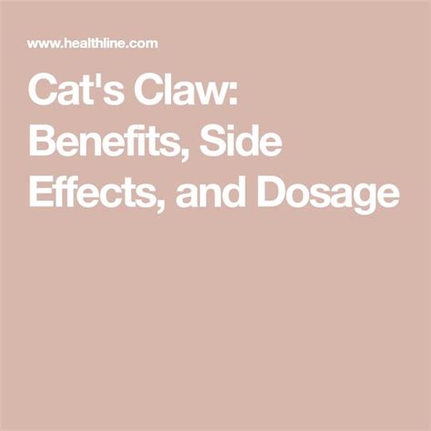 Cat's Claw: Benefits, Side Effects, and Dosage in 2024 | Cat's claw ...