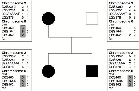 Molecular Genetic Heterogeneity In Autosomal Dominant Drusen Journal