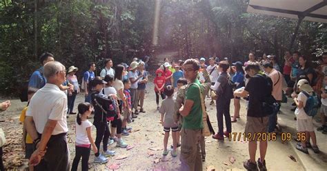 Adventures With The Naked Hermit Crabs Schedule Naked Hermit Crabs Turn