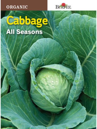 Burpee® All Seasons Organic Cabbage Seeds Green 1 Ct Kroger