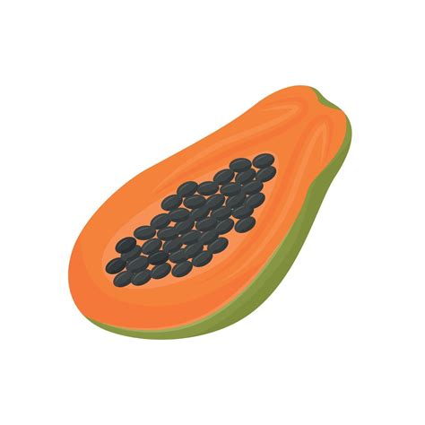 Papaya Cartoon Vector Illustration Organic Food Sweet Dessert Ripe