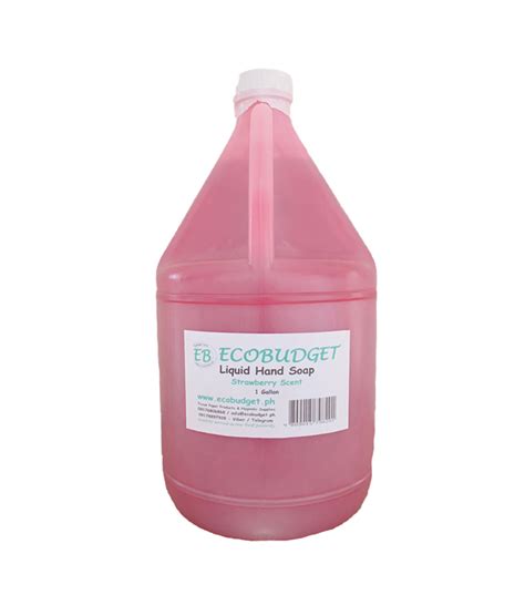 Ecobudget Liquid Hand Soap Strawberry Liquid Cleanser For Hands