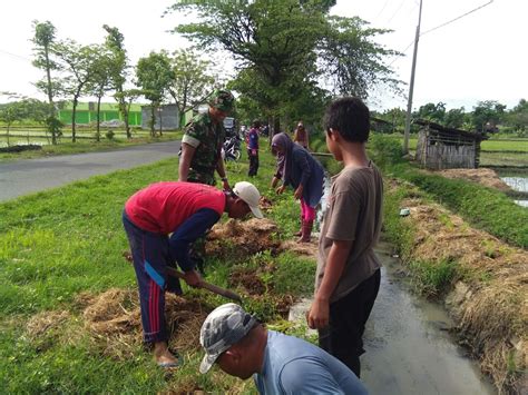 Komponen Masyarakat Bersama Babinsa Lembah Tanam Refugia Untuk Bantu