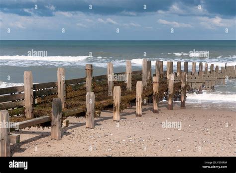 Groynes At Bacton Beach Norfolk Stock Photo Royalty Free Image