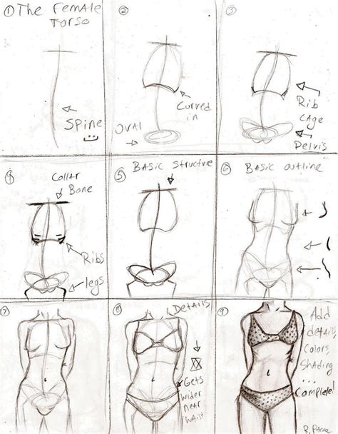 Female Body Tutorial Drawing Female Body Tutorial Tips And Mistakes