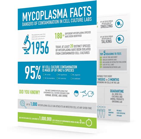 Mycoplasma Facts: Dangers of Contamination in Cell Culture Labs