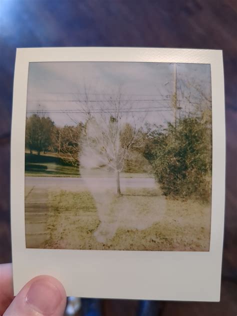 Fuji instax or Polaroid film -- which do you prefer? : r/Polaroid