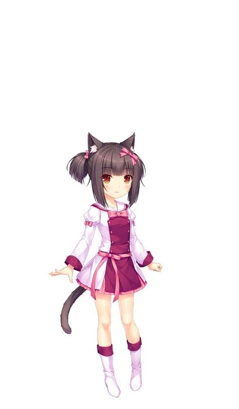 Ps4 Ns《貓娘樂園 Vol2 ～甜蜜貓娘姊妹～》將收錄番外篇《貓娘樂園 Extra》《nekopara Vol2》 巴哈姆特