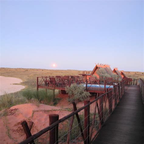 Xaus Lodge Kgalagadi Northern Cape South Africa Expert Africa