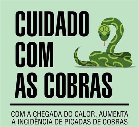 Chegada do verão Alerta para picadas de cobras Estação FM