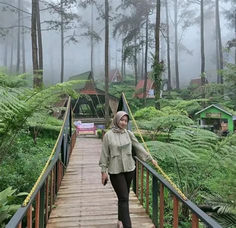 Baru Tau Tempat Wisata Hutan Di Jawa Tengah Yang Keren Dan