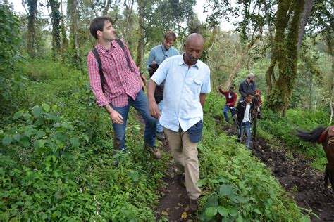 western ethiopia   days crop  cup