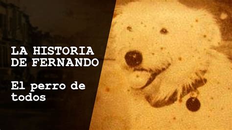 LA MARAVILLOSA HISTORIA DE FERNANDO EL PERRO DE TODOS YouTube