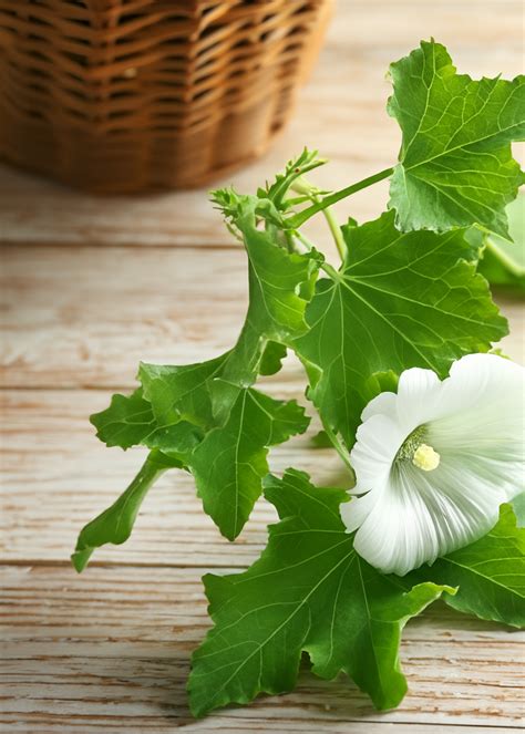 Historien Om Skumfiduser The Mallows Aps