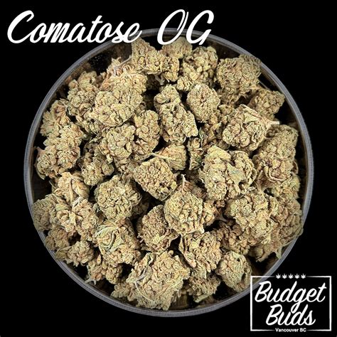 Comatose OG Indica 1oz Budget Buds