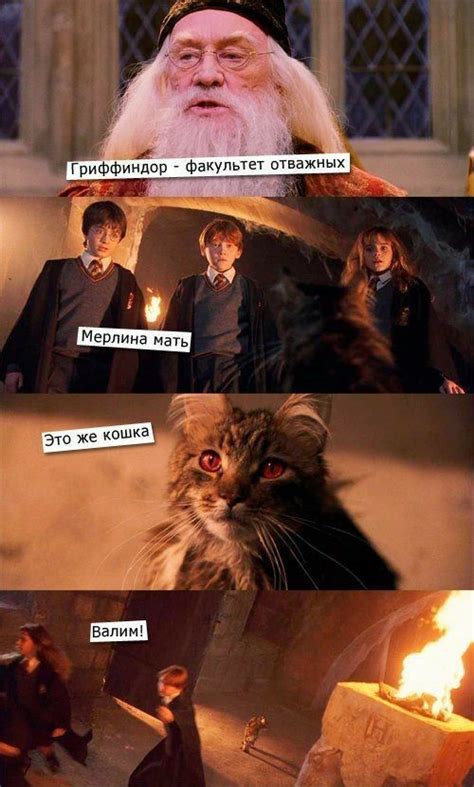 Мемы Гарри Поттер | Foto