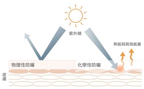 物理性防曬 Vs 化學性防曬？如何辨別防曬乳｜女人迷 Womany