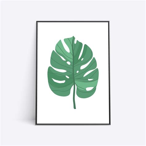 Variegated Monstera Deliciosa Swiss Cheese Plant Leaf House Plant Poster Variegated Monstera