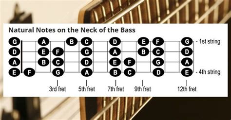 In This Video Bass Lesson You Will Learn Some Tips And Tricks On How To Master The Fretboard On