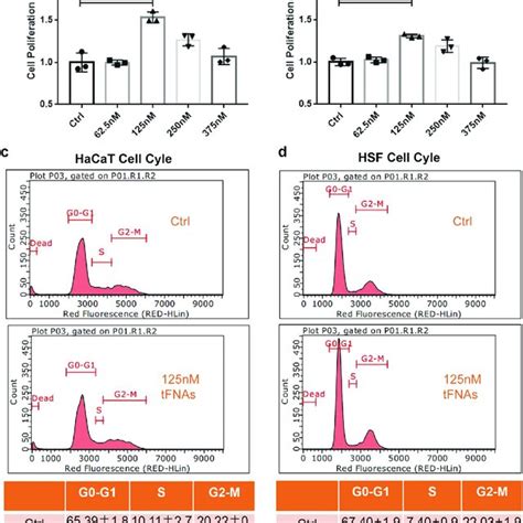 Characteristics And Cellular Uptake Of Tfnas A Structure Of Tfnas B