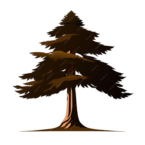 Premium Vector | Detailed isolated redwood tree vector illustration on